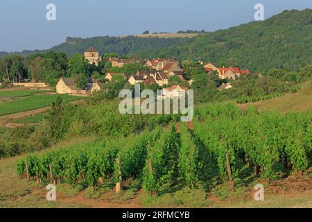 France, Côte-d'Or, Saint-Romain, vue sur le village depuis le vignoble Banque D'Images