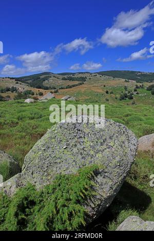 France, département de la Lozère, Cévennes, paysage du Mont Lozère, ici près d'Aubaret, classé au patrimoine mondial de l'UNESCO. Banque D'Images