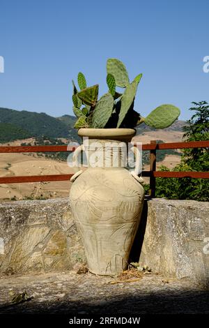 Décorez le pot avec des cactus de poire de Barbarie, Sicile, Italie Banque D'Images