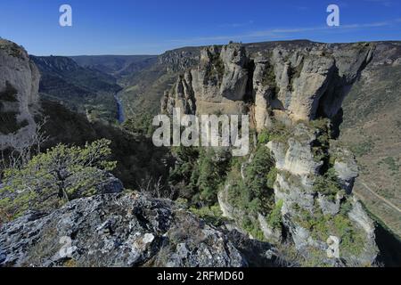 France, département de l'Aveyron, le Rozier, Saint-Pierre-des-Tripiers les gorges du Tarn, le rocher de Cinglegros, parc national des Cévennes, parc naturel régional des Grands Causses Banque D'Images