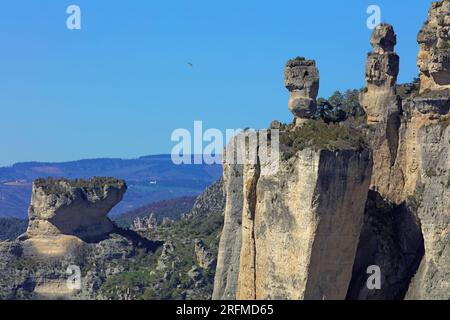 France, département de l'Aveyron, le Rozier, Saint-Pierre-des-Tripiers les gorges de la Jonte, le vase de Sèvre, le vase Chine et le rocher de Francbouteille, parc national des Cévennes, parc naturel régional des Grands Causses Banque D'Images