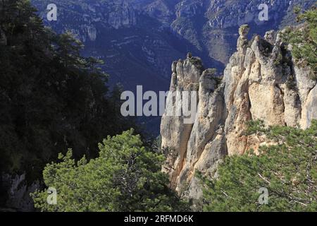 France, département de l'Aveyron, le Rozier, Saint-Pierre-des-Tripiers les gorges du Tarn, les falaises de Monolithe, parc national des Cévennes, parc naturel régional des Grands Causses Banque D'Images