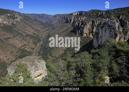 France, département de l'Aveyron, le Rozier, Saint-Pierre-des-Tripiers les gorges du Tarn, Parc national des Cévennes, Parc naturel régional des Grands Causses Banque D'Images