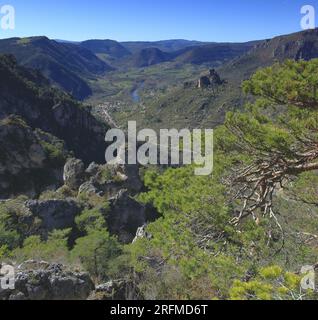 France, département de l'Aveyron, Veyreau, Saint-Pierre-des-Tripiers les gorges de la Jonte, parc national des Cévennes, parc naturel régional des Grands Causses Banque D'Images