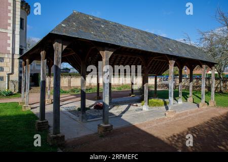 France, région Normandie, Calvados, Pont-l'Evêque, rue Saint-Michel, espace culturel et bibliothèque d'art 'les Dominicaines', jardin, ancien lavoir Banque D'Images