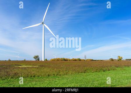 Éoliennes dans un champ herbeux sous ciel bleu en automne Banque D'Images