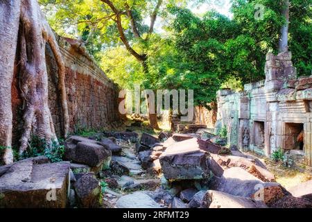 Dévoiler le passé : ruines de structures anciennes dans les forêts du Cambodge, la ville perdue d'Angkor. Banque D'Images