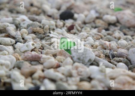 Beau morceau de verre de mer vert parmi les galets sur la plage. Gros plan. Banque D'Images
