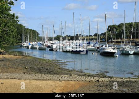 Vue des voiliers amarrés sur la rivière Vincin à marée basse de Moreac, Arradon, Morbihan, Bretagne, France Banque D'Images