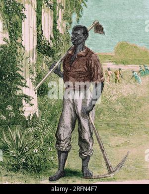 Récolte d'une illustration satirique de 'la grande question du travail d'un point de vue du Sud' montrant un homme noir debout sur une plantation du Sud avec un cueillette et de la houe. Harper's Weekly, 29 juillet 1865. Voir 2452956 pour l'image complète. Colorisé. Banque D'Images