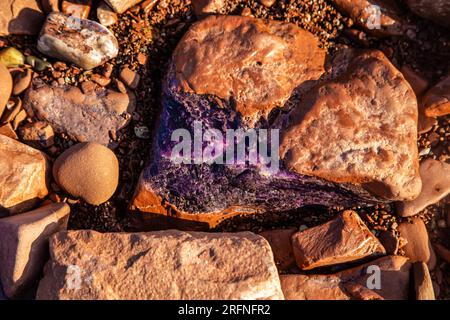 Améthystes crues sur les rives de la mer Blanche. Péninsule de Kola. Arrière-plan naturel. Banque D'Images