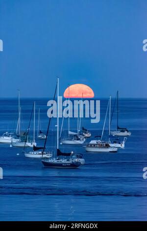 Plein Sturgeon Super Moon avec Voiliers vertical Banque D'Images