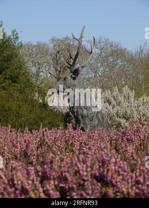 Saint Austell, Cornouailles, Royaume-Uni, 25 mars 2022 - Une sculpture de cerf s'élève au-dessus de bruyère rose dans le jardin d'hiver Banque D'Images