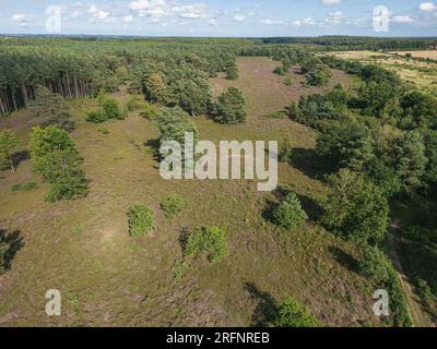 Vue aérienne de la réserve naturelle de Cawston Heath, Norfolk, Royaume-Uni, 3 août 2023 Banque D'Images