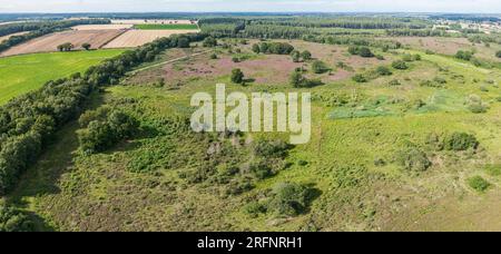 Panorama aérien de la réserve naturelle de Buxton Heath, Norfolk, Royaume-Uni Banque D'Images