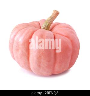 Citrouille d'automne rose isolée sur un fond blanc. Variété de poupée en porcelaine. Banque D'Images