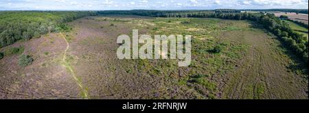 Panorama aérien de la réserve naturelle de Marsham Heath, Norfolk, Royaume-Uni Banque D'Images