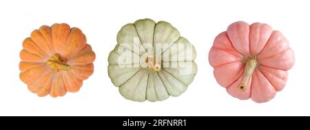 Citrouilles d'automne, vue de dessus isolé sur un fond blanc. Assortiment de variétés héritées orange, vertes et roses. Givre d'automne, poupée bleue et porcelaine Banque D'Images