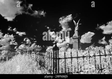 Image en noir et blanc très contrastée d'une clôture de fer et d'un grand ange de marbre dans un cimetière rural oublié dans le sud de l'indiana. Banque D'Images