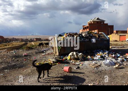 Benne à ordures débordante et maison en brique à côté de Rio Seco dans la banlieue d'El Alto, altiplano et Mt Huayna Potosí en arrière-plan, Bolivie Banque D'Images