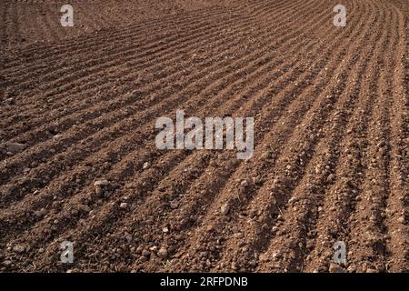 Sol agricole labouré brun au printemps Banque D'Images