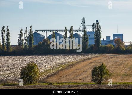 Système de silos de stockage de grain derrière un champ de soja brun et sous un ciel nuageux sombre dans une journée d'automne.. Banque D'Images