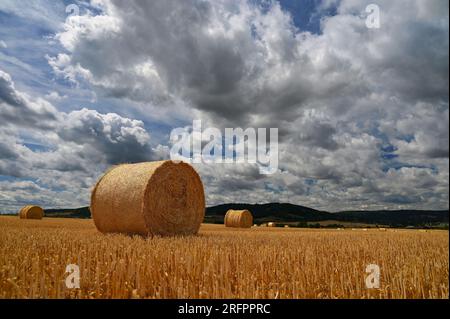 Récolte de bennes de foin dans un paysage de champ doré. Paysage de ferme d'été avec Haystack sur le fond de beau coucher de soleil. Banque D'Images