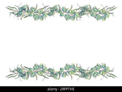 Cadre aquarelle de branche d'argousier, eucalyptus isolé sur blanc. Orné de couleurs vertes. Illustration pour la conception de carte postale, modèle d'invitation Banque D'Images