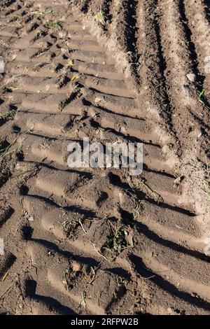 Traces d'un tracteur ou d'autres grosses machines sur le sol dans le champ, un grand nombre de traces de véhicules lourds sur la route Banque D'Images