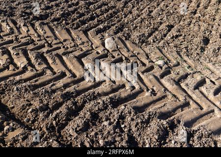 Traces d'un tracteur ou d'autres grosses machines sur le sol dans le champ, un grand nombre de traces de véhicules lourds sur la route Banque D'Images