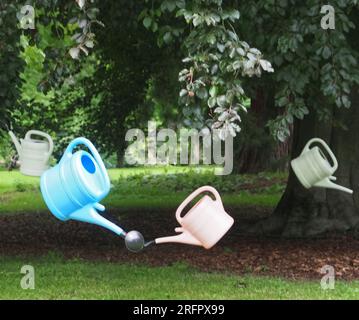 des arrosoirs pendent d'un arbre au-dessus d'une pelouse pour symboliser la rareté de l'eau Banque D'Images