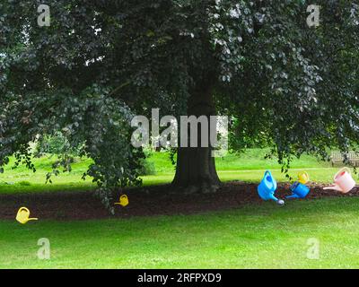 des arrosoirs pendent d'un arbre au-dessus d'une pelouse pour symboliser la rareté de l'eau Banque D'Images