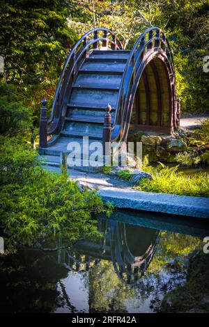 Pont voûté traditionnel en bois dans le jardin japonais à San Francisco, Californie Banque D'Images