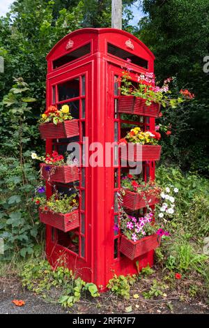 Old Red phonebox décoré avec des fleurs colorées pendant l'été, manière créative de réutiliser la boîte de téléphone à Marlborough, Wiltshire, Angleterre, Royaume-Uni Banque D'Images