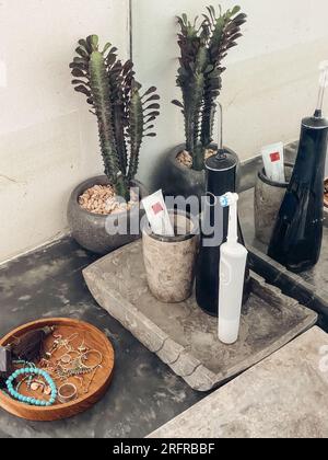 Un irrigateur buccal électrique et une brosse à dents rechargeable sont dans la salle de bain closeup Banque D'Images