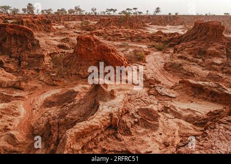 Érosion des sols au Mali , Afrique de l'Ouest Banque D'Images