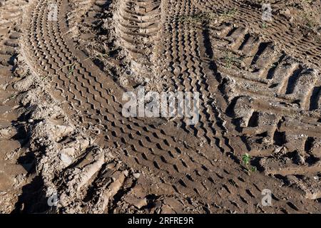 Traces d'un tracteur ou d'autres grosses machines sur le sol dans le champ, un grand nombre de traces de véhicules lourds sur la route Banque D'Images