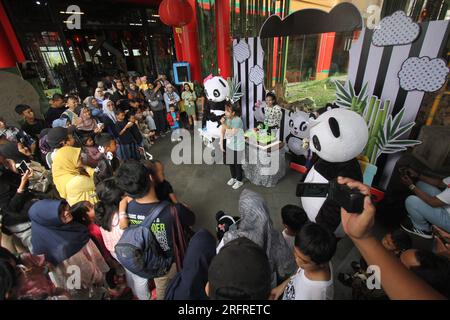 Bogor, Indonésie. 5 août 2023. Les gens assistent à une célébration du 13e anniversaire du panda géant Cai Tao au Taman Safari à Bogor, Java Ouest, Indonésie, le 5 août 2023. Les pandas géants Cai Tao et Hu Chun de la province du Sichuan au sud-ouest de la Chine vivent dans le parc safari depuis 2017. Crédit : Sandika Fadilah/Xinhua/Alamy Live News Banque D'Images