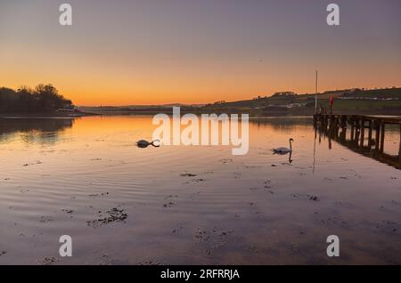 Un crépuscule hivernal sur un estuaire calme et réfléchissant, avec une jetée et des cygnes, sur la rivière Teign, près de Newton Abbot, Devon, Grande-Bretagne. Banque D'Images