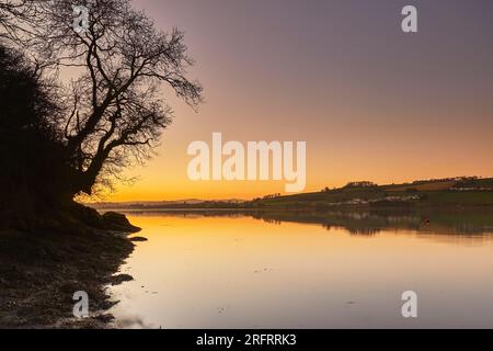 Un crépuscule hivernal sur un estuaire calme et réfléchissant, sur la rivière Teign, près de Newton Abbot, Devon, Grande-Bretagne. Banque D'Images