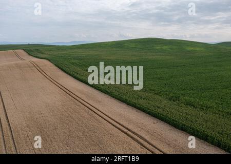 Village campagne agricole formes dans le champ en Pologne photo de drone aérien Banque D'Images