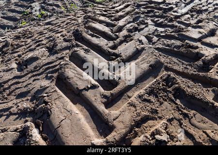 Traces d'un tracteur ou d'autres grosses machines sur le sol dans le champ, un grand nombre de traces de véhicules lourds sur la route Banque D'Images