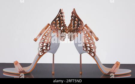 Paire de chaussures à talons hauts de luxe pour dames avec une surface noire et un fond blanc. Banque D'Images