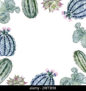 Cadre floral de succulentes et de cactus. Carte postale. Illustration à l'aquarelle Banque D'Images