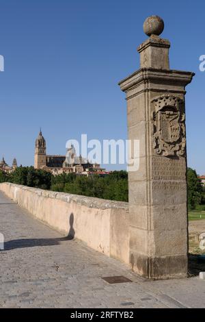Catedral de Salamanca desde el Puente Romano Stock Photo