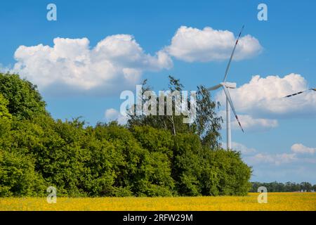 Éolienne sur champ jaune herbeux contre ciel bleu nuageux dans la zone rurale pendant le coucher du soleil. Parc éolien offshore avec nuages orageux dans les terres agricoles Pologne Europe. Centrale éolienne produisant de l'électricité. Énergie propre verte renouvelable. Mode de vie durable Banque D'Images