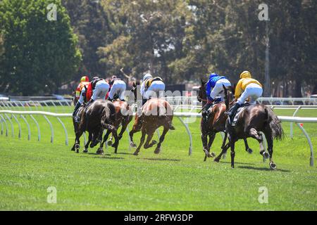 Courses hippiques en Australie. Chevaux avec jockeys courant vers la ligne d'arrivée. Banque D'Images