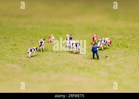 Troupeau de vaches jouets miniatures sur une prairie verte. Banque D'Images