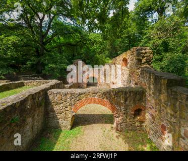 Ruines historiques près du village de Salfold, Hongrie. Un monastère Palos ruine ce qui est une attraction touristique populaire dans la région de Badacsony près du lac Balaton Banque D'Images