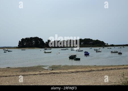 Vue sur l'Ile de Boedic depuis le sentier côtier proche de la rue de Langle, Langle, Sene, vannes, Morbihan, Bretagne, France Banque D'Images